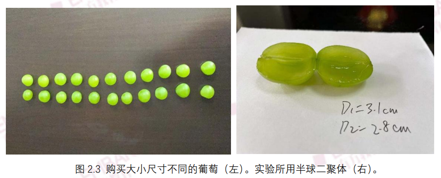 科研赛场上的“吸睛利器”！家庭实验是如何拿下STS、丘奖等Top科研赛事评审的心？