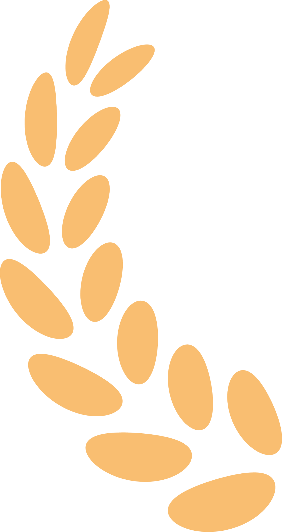 1748230575-10-1748230575